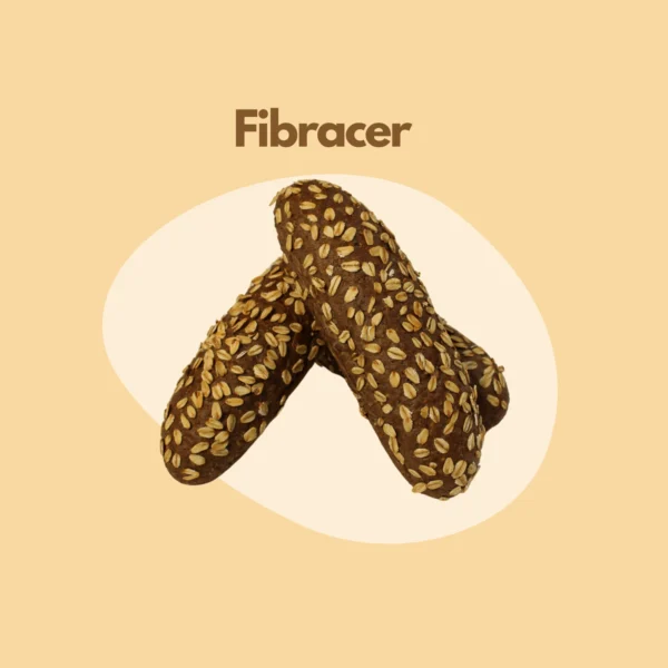 Fibracer 2