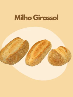 Milho Girassol